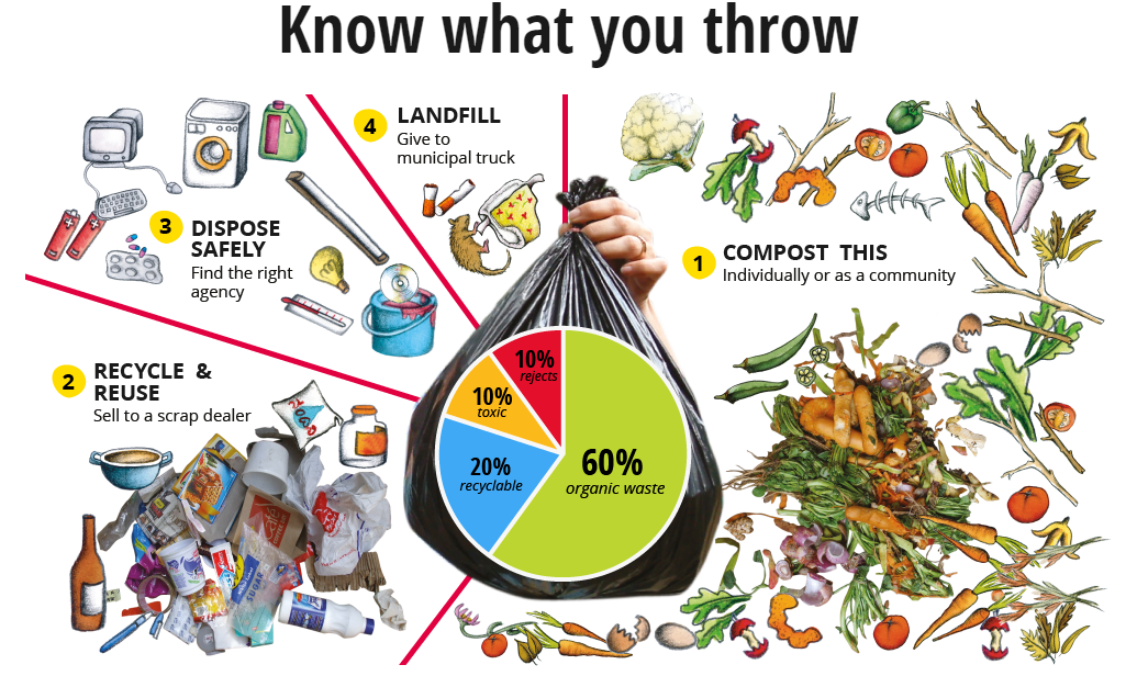 waste segregation, type of waste, waste sorting