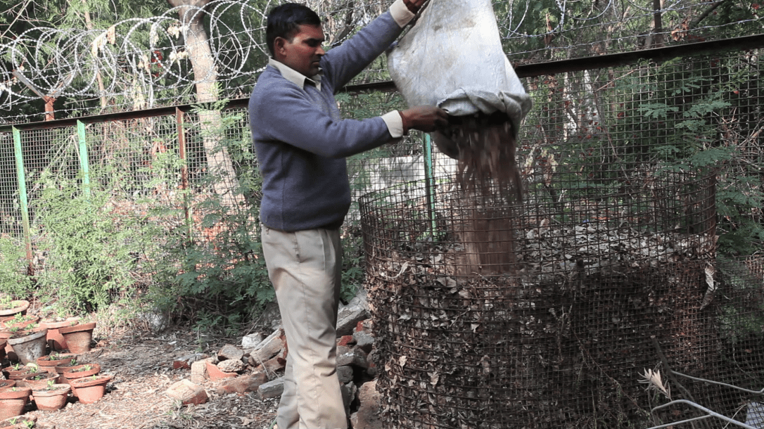 Extra dry leaves are composted separately to make nutrient rich leaf mulch.