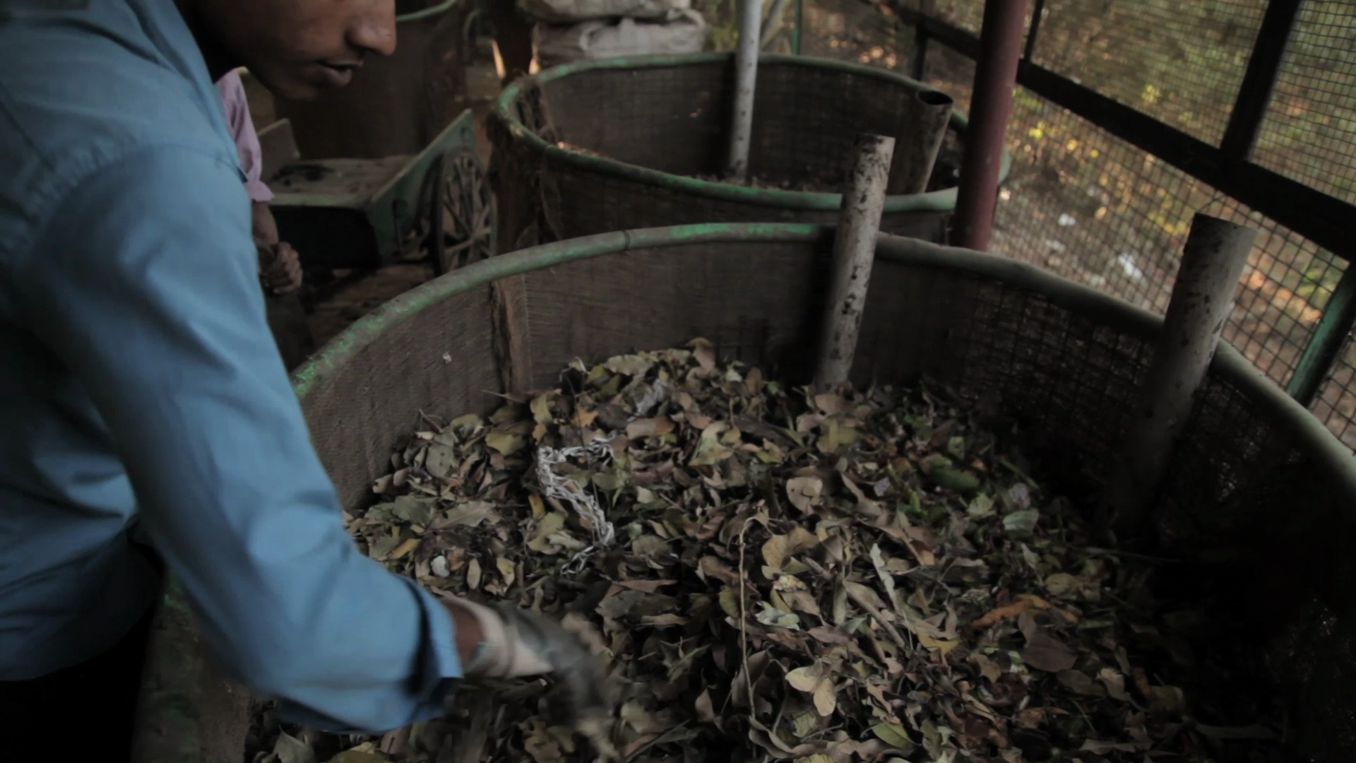 Housekeeping boys have been trained to cover the food waste properly with the leaves to ensure no smell or flies