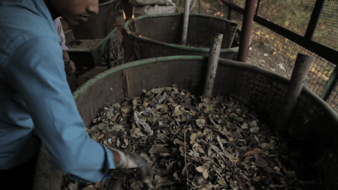 Housekeeping boys have been trained to cover the food waste properly with the leaves to ensure no smell or flies