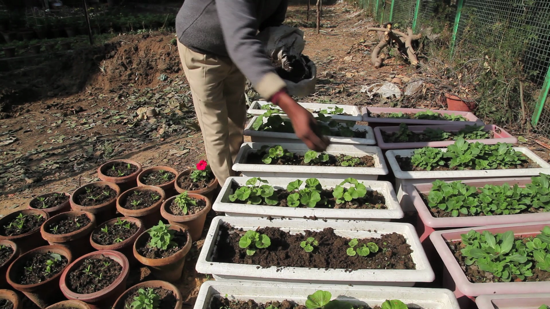Leaf mulch is very high in nutrients and saves water by retaining moisture in the soil.