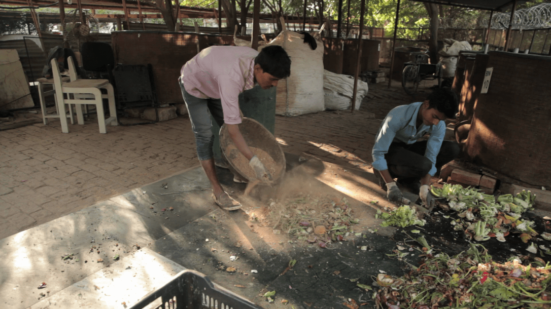 Saw dust being mixed with the chopped food waste to increase the carbon content