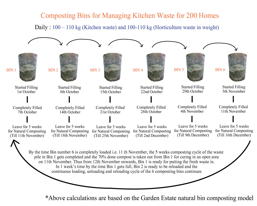 Updated Infographic-5.jpg