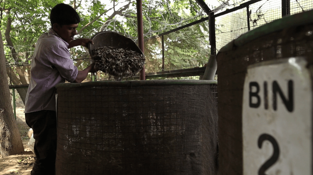 vlcsnap-2018-11-03-16h35m06s10