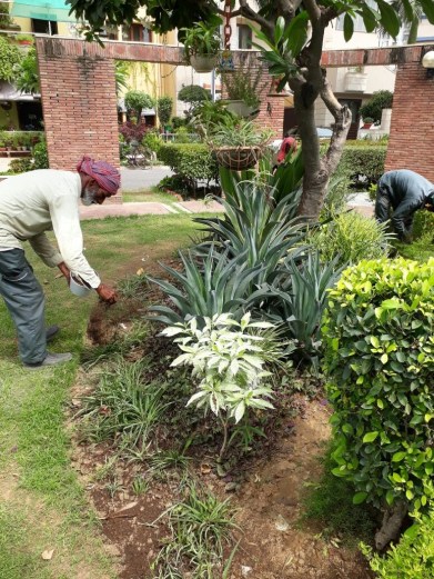 Nirvana compost being used in flower beds.jpg