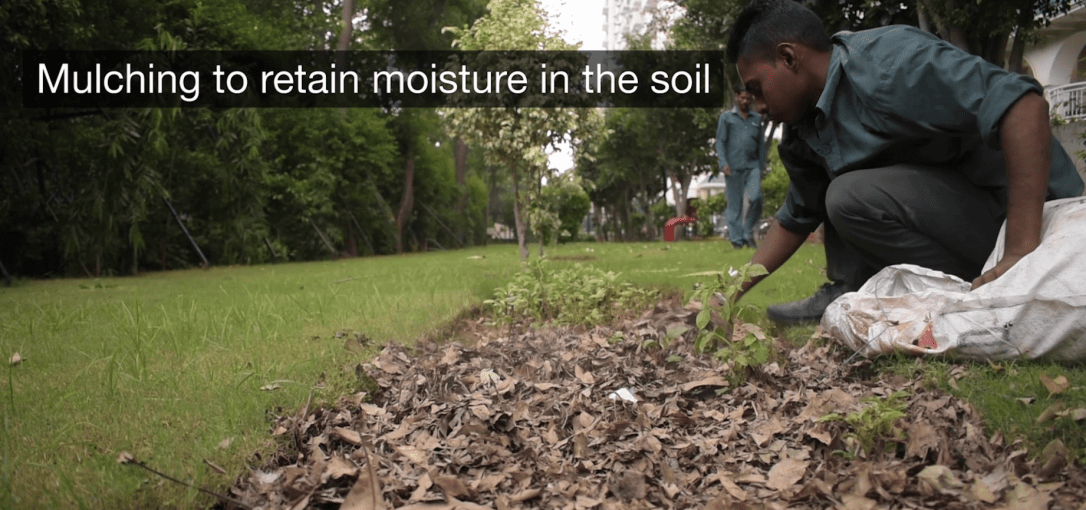 vlcsnap-2020-02-22-20h05m11s481