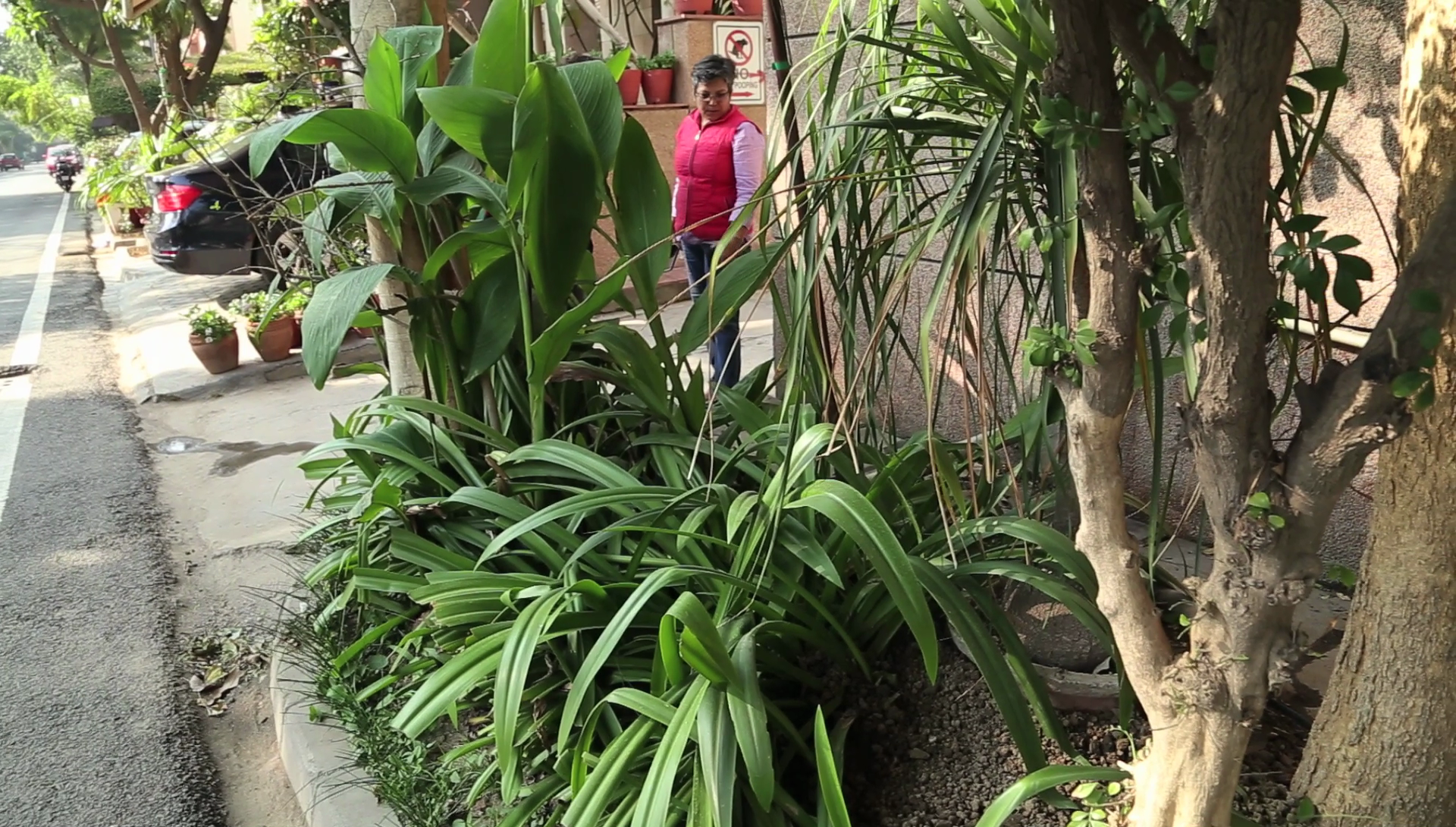 vlcsnap-2020-02-19-17h23m15s526