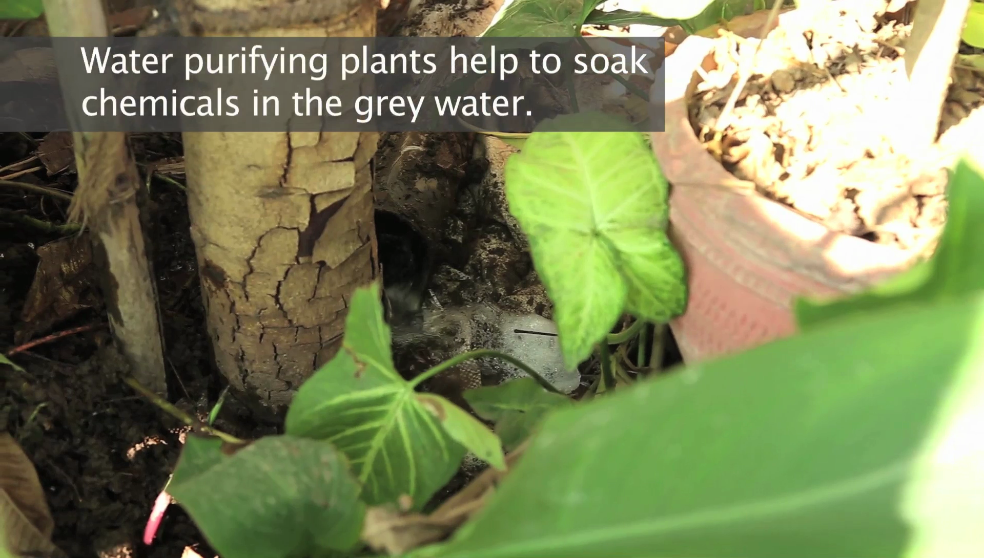 vlcsnap-2020-02-19-17h23m28s633