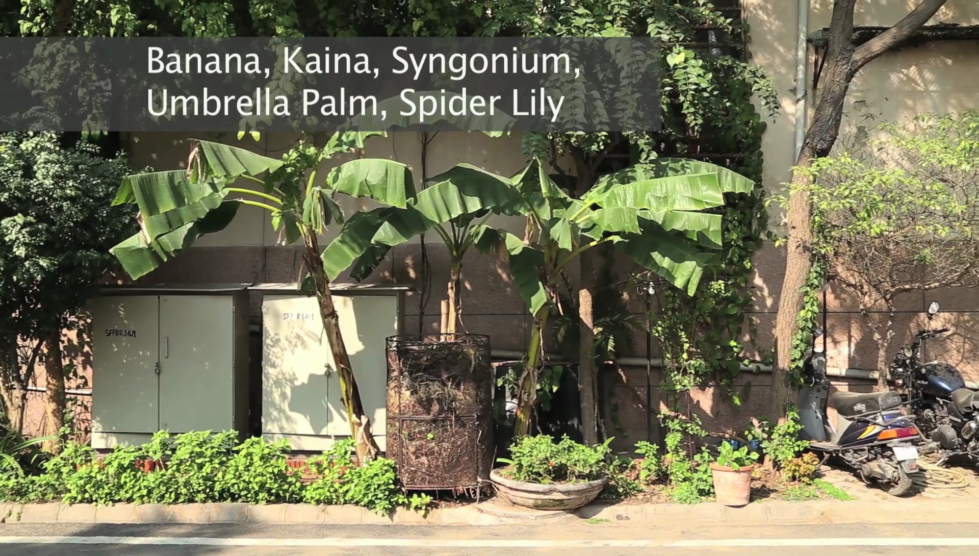 vlcsnap-2020-02-19-17h23m36s900