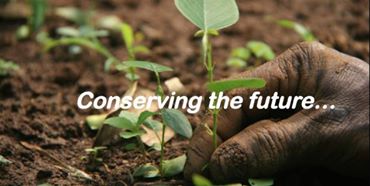 10445488_253220728134902_4458503249973602867_n